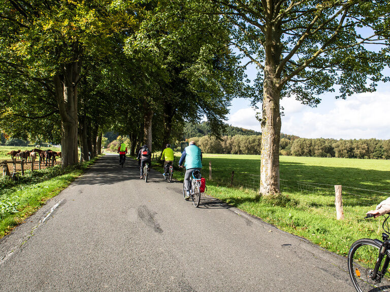 Eine Gruppe von Radfahrern unterwegs auf einer Landstraße.